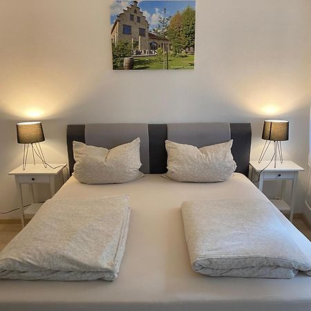 Ferienwohnung Stiegel Ingelheim am Rhein Kültér fotó